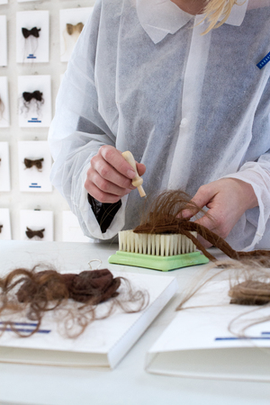  PROJECT 000 004 - Hypertrichosis Bow Tie