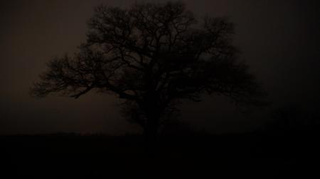  Listening with Darkness