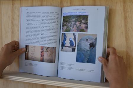  TOTO TO TOTORO; Can talking animals save the world?