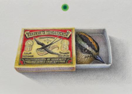 singularity-firecrest in a matchbox  singularity-firecrest in a matchbox