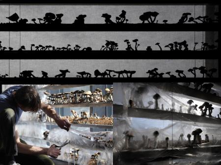  A glance through the shades