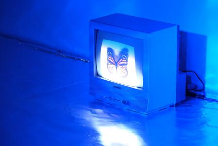  Through The Glass, Darkly