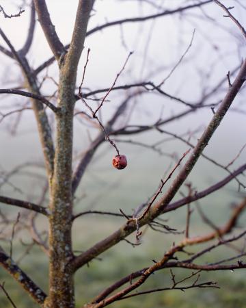  In the mountains, the sun is shining