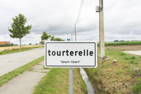  Tourterelle