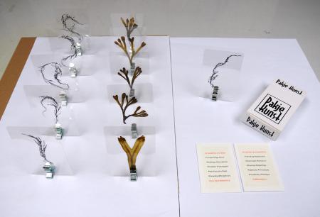  THE POETRY OF THINGS - Zeewier