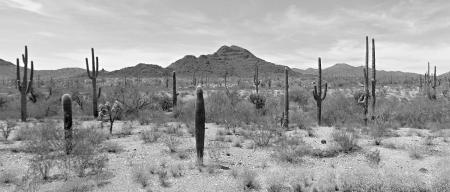  North Sonoita Highway, Pima County, Arizona, USA