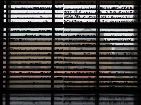  A glance through the shades