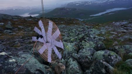  Electric Ecologies 