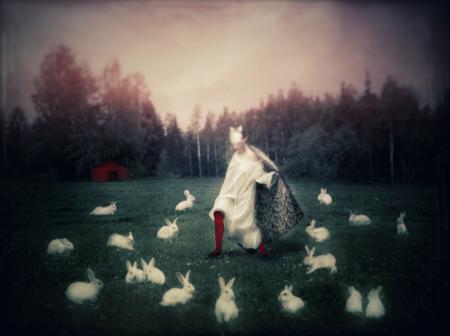  The Field of Joyfull Madness