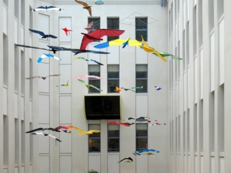  vreemde vogels
