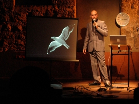  David the enlightened Seagull
