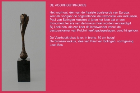  De Voorhoutkrokus