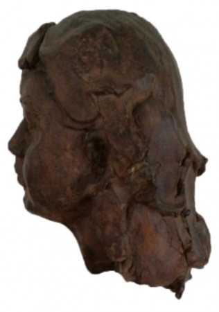  Nina van Hellemondt