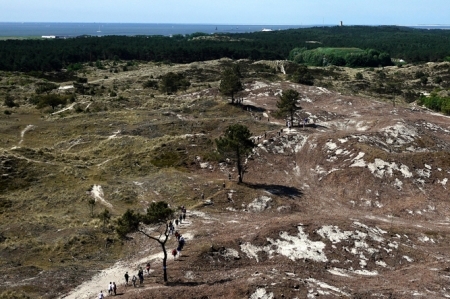  Boswandeling/ BosMonument #2