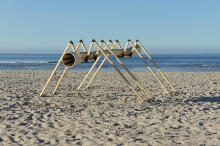  Sea Spider
