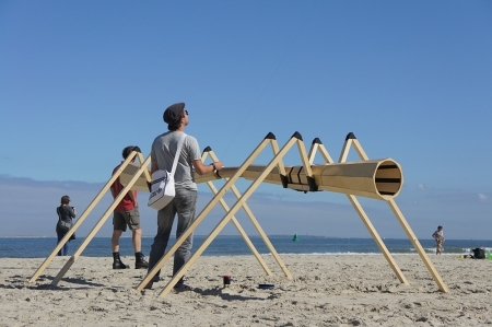  Sea Spider