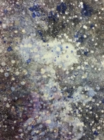  Pukupuku - for the new life