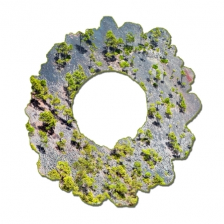  Contour3 xcanadensis