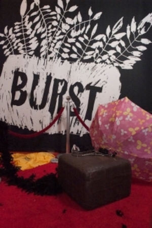  burst logo