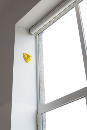  'Yellow hands, yellow ears'