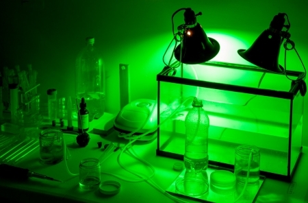  microscope Chamber #1