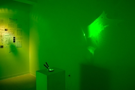  microscope Chamber #1