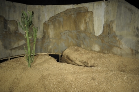  "Is that you John Wayne?"