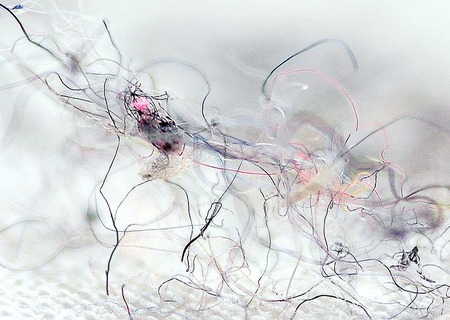  Een centimeter landschap uit mijn stofzu