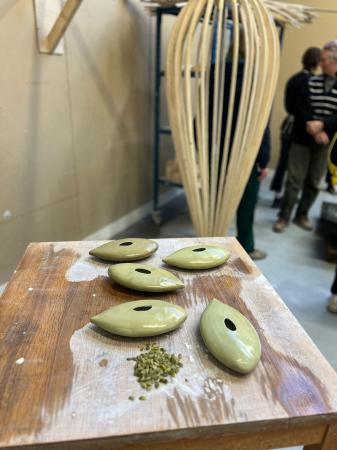  Pumpkin Seeds