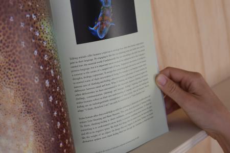  TOTO TO TOTORO; Can talking animals save the world?