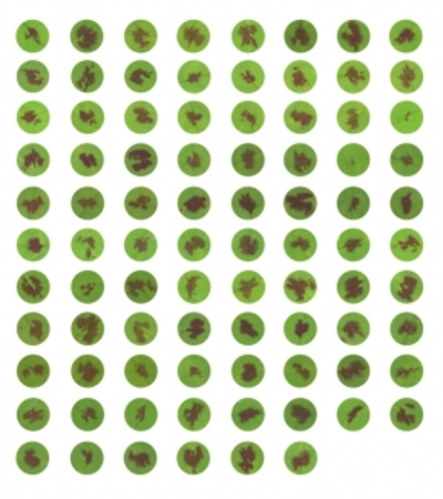  Stippen op de Gevlekte Rupsklaver