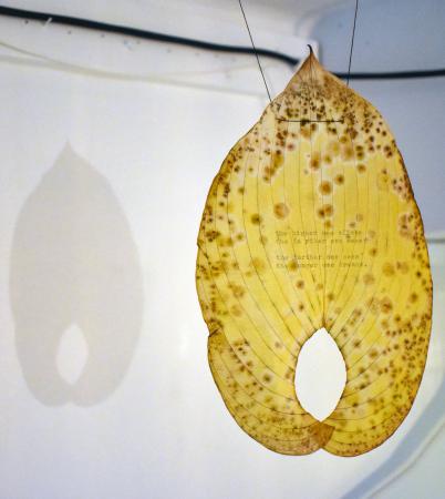 As Tangible Horizons  As Tangible Horizons