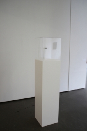  Museumkever
