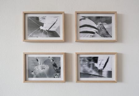  Madama Butterfly, an erratic flight