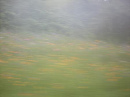  landschap (1)