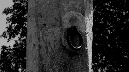  The Mourning of the Sea