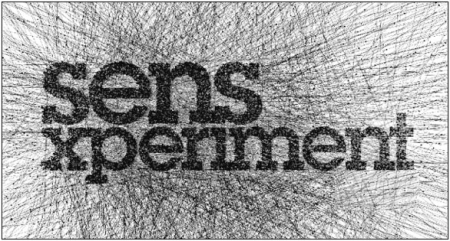  Sensxperiment