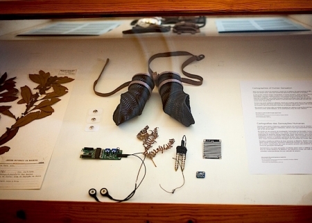  Biometric Archival Submission, Funchal