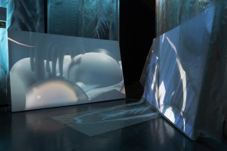 The New Pangasius  The New Pangasius