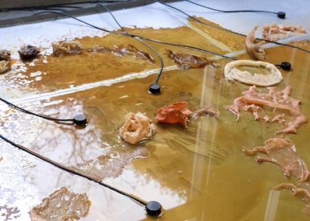 All tongues are moving, but we don’t hear them all  All tongues are moving, but we don’t hear them all