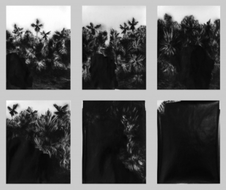  "This bowdlerized land" 11, 12, 13, 14, 15, 16