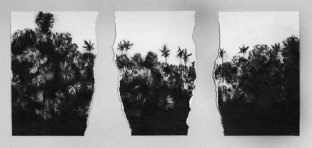  "This bowdlerized land" 10