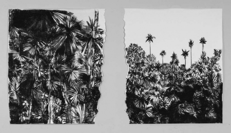  "This bowdlerized land" 8