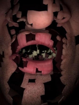  The confession of the flesh