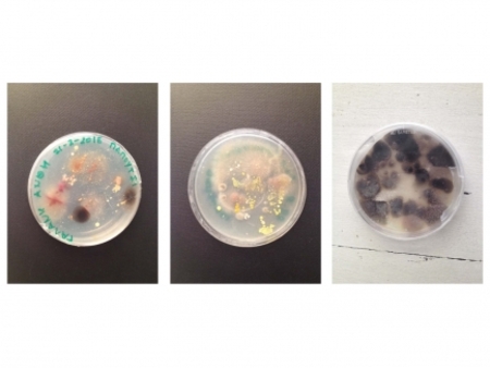  all the landscapes you are