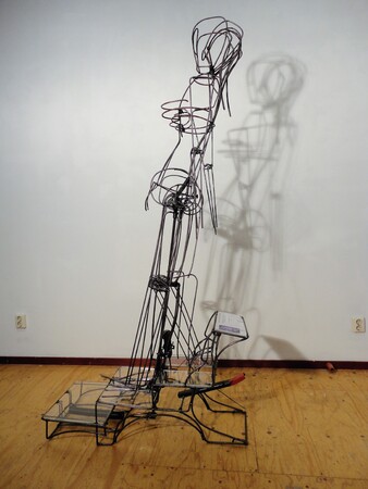  Nude decendent un escalier