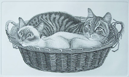  2 katten in mand