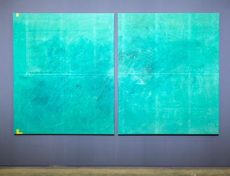  Diptyccoocorico from the pond