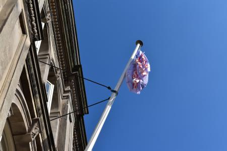  All was ocean! All was joy! (Or, How the Humans Broke the Ocean's Heart)