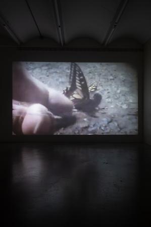  ‘I swallowed a butterfly